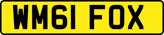 WM61FOX