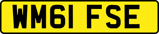 WM61FSE