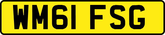 WM61FSG