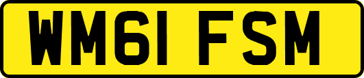 WM61FSM