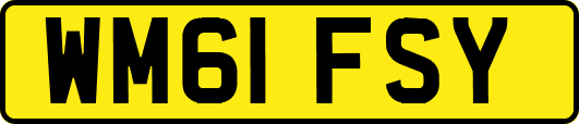 WM61FSY