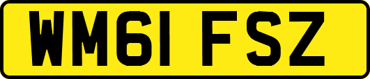 WM61FSZ