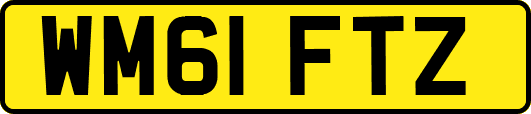 WM61FTZ
