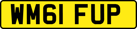 WM61FUP