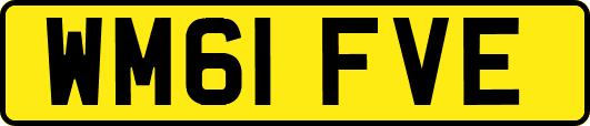 WM61FVE