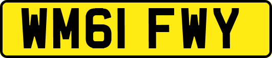 WM61FWY