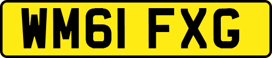WM61FXG