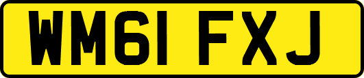 WM61FXJ