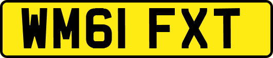 WM61FXT