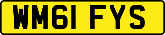 WM61FYS