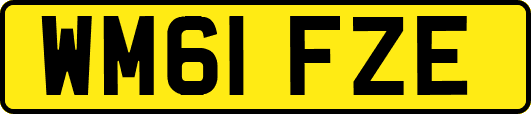 WM61FZE