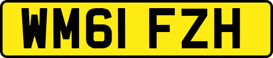 WM61FZH