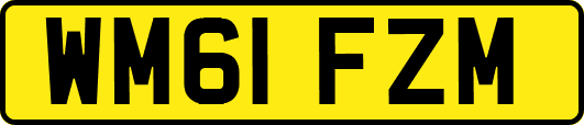 WM61FZM