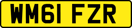 WM61FZR