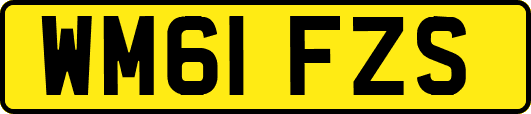 WM61FZS