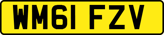 WM61FZV