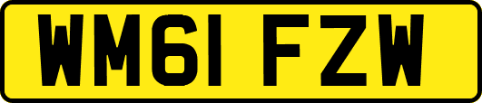 WM61FZW