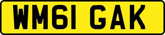 WM61GAK