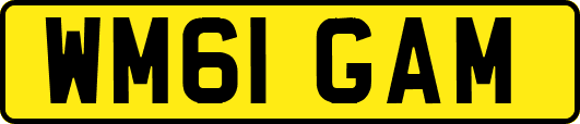 WM61GAM