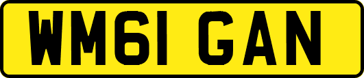 WM61GAN