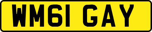 WM61GAY