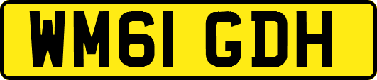 WM61GDH