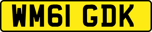 WM61GDK