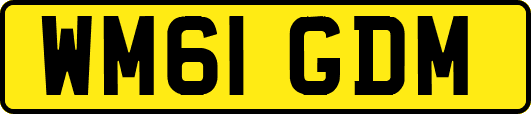 WM61GDM