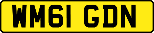 WM61GDN