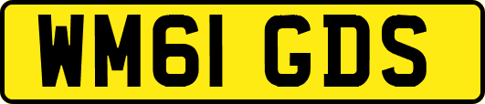 WM61GDS