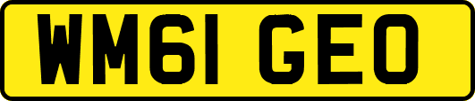 WM61GEO