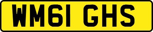 WM61GHS