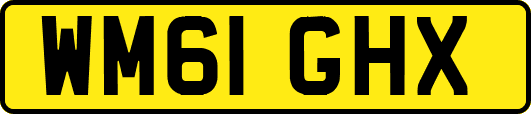 WM61GHX
