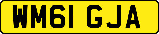 WM61GJA