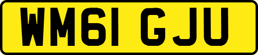 WM61GJU
