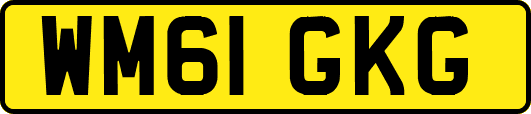 WM61GKG