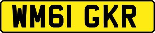 WM61GKR
