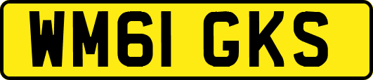 WM61GKS
