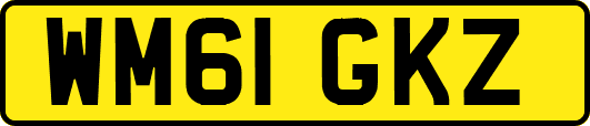 WM61GKZ