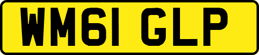 WM61GLP