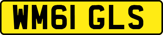 WM61GLS