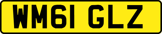 WM61GLZ