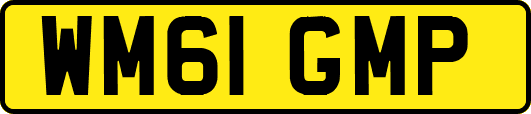 WM61GMP