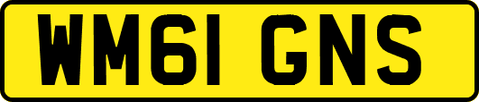 WM61GNS