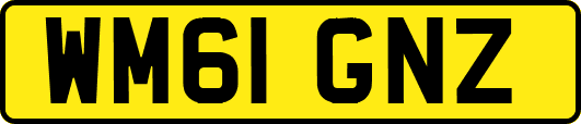 WM61GNZ