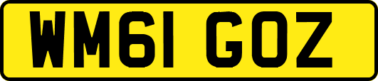 WM61GOZ