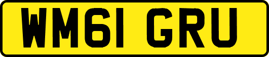 WM61GRU