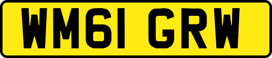 WM61GRW