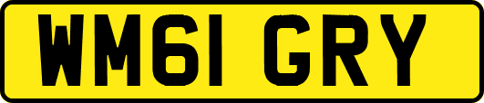 WM61GRY