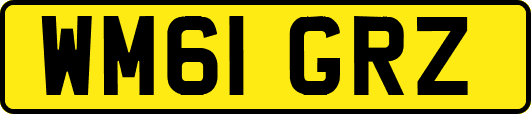WM61GRZ